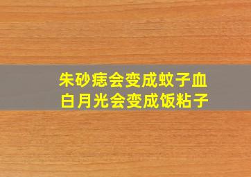 朱砂痣会变成蚊子血 白月光会变成饭粘子